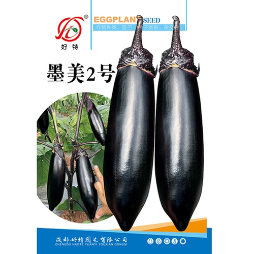 墨美二号茄子种子早熟紫