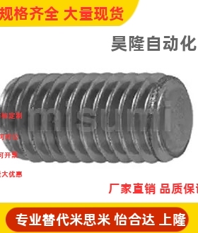 止动螺丝 内六角 平头 SSHH-ST-M6/8/10/12/14 SSHHB