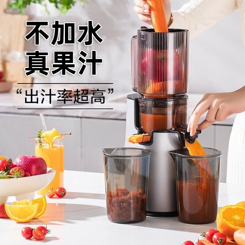 德国原汁机NFC果汁机渣汁分离家