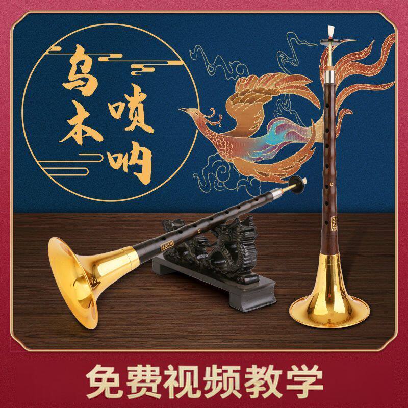 初学者唢呐红木乌木黑檀木民族吹奏乐器成人入门D调中号喇叭全套