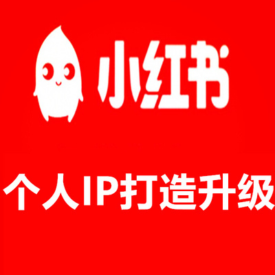 小红书个人ip打造升级百万ip21天训练营学习资料视频课程私域知识