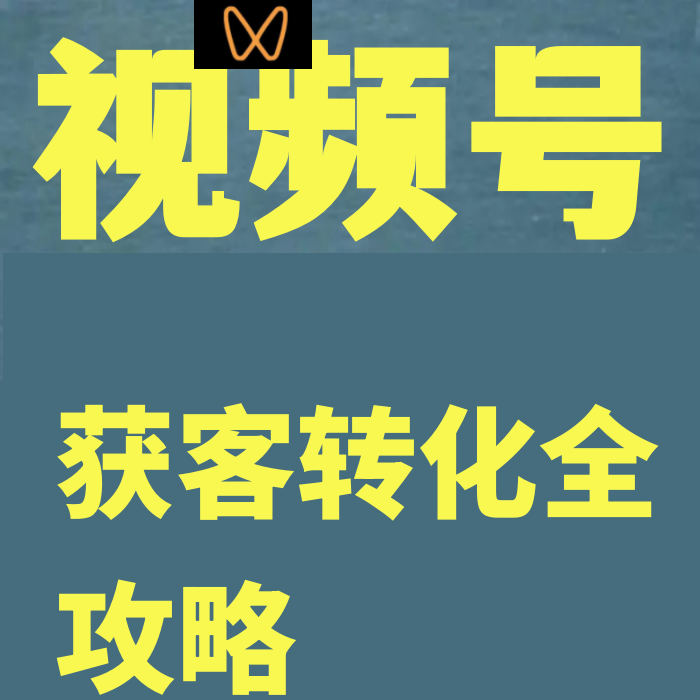 视频号获客转化全攻略从入门到精通运营底层逻辑商业模式案例拆解