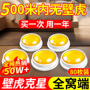 壁虎驱赶专用神器药家用室内樟脑丸趋避剂驱虫防虫去除四脚蛇香薰