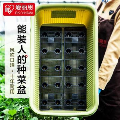 爱丽思阳台菜盆家庭蔬菜种菜盆专用箱室内长条花盆塑料种植爱丽丝