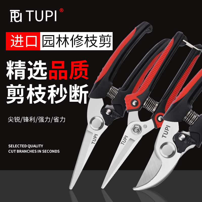 进口园艺剪刀果树修枝剪省力修剪树枝果树花卉专用花艺剪子不锈钢
