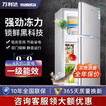 【一级节能】冰箱小型家用迷你双开门二人宿舍出租房冷藏冷冻冰箱