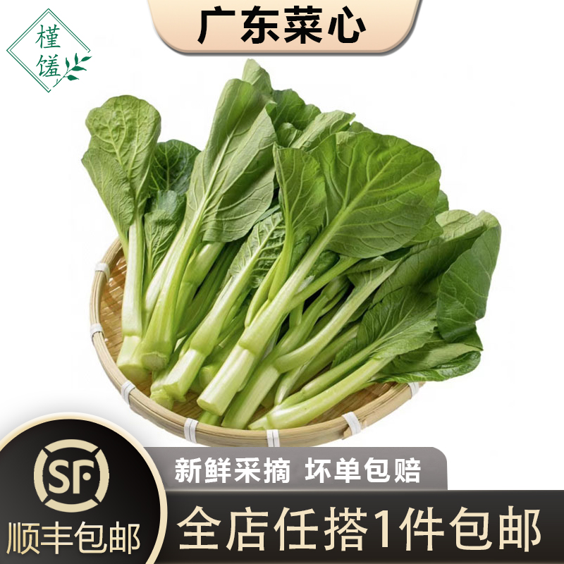 广东菜心1-5斤农家自种甜菜心