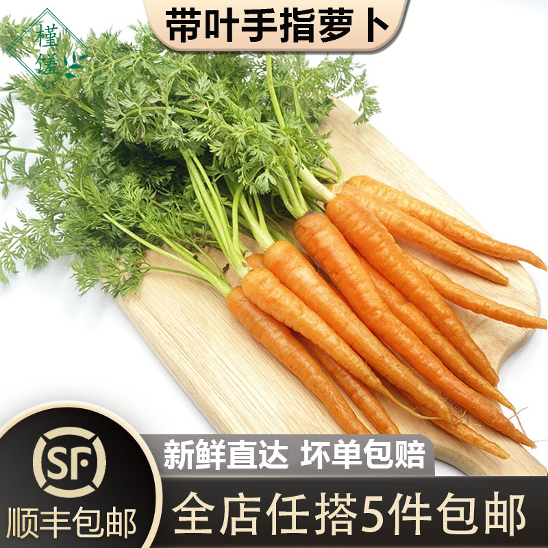 【槿馐】带叶迷你手指萝卜500g 新鲜胡萝卜宝宝辅食沙拉食材,水产肉类/新鲜蔬果/熟食,萝卜/胡萝卜,淘宝优惠券,粉丝福利购,淘宝优惠卷