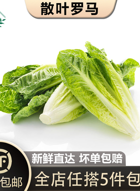 【槿馐】散叶罗马生菜500g 凯撒罗马新鲜绿色西餐蔬菜沙拉食材
