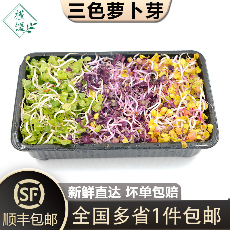 三色萝卜芽150g/盒 食用七彩萝卜苗芽菜餐厅凉拌冷菜沙拉摆盘装饰
