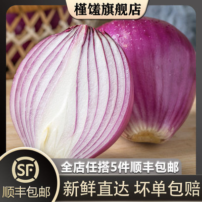 【槿馐】红洋葱500g 生吃紫皮圆葱头新鲜蔬菜农家自种 5件包邮