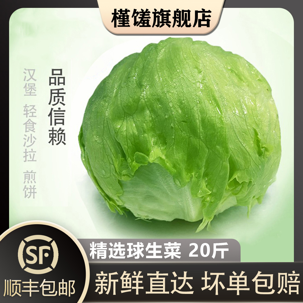 槿馐球生菜新鲜采摘当天发货