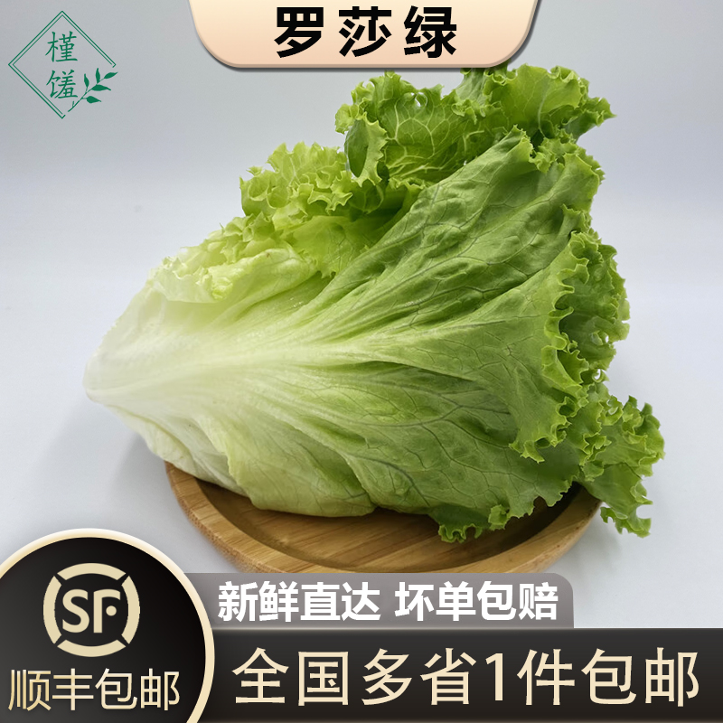 罗莎绿生菜1-10斤顺丰包邮