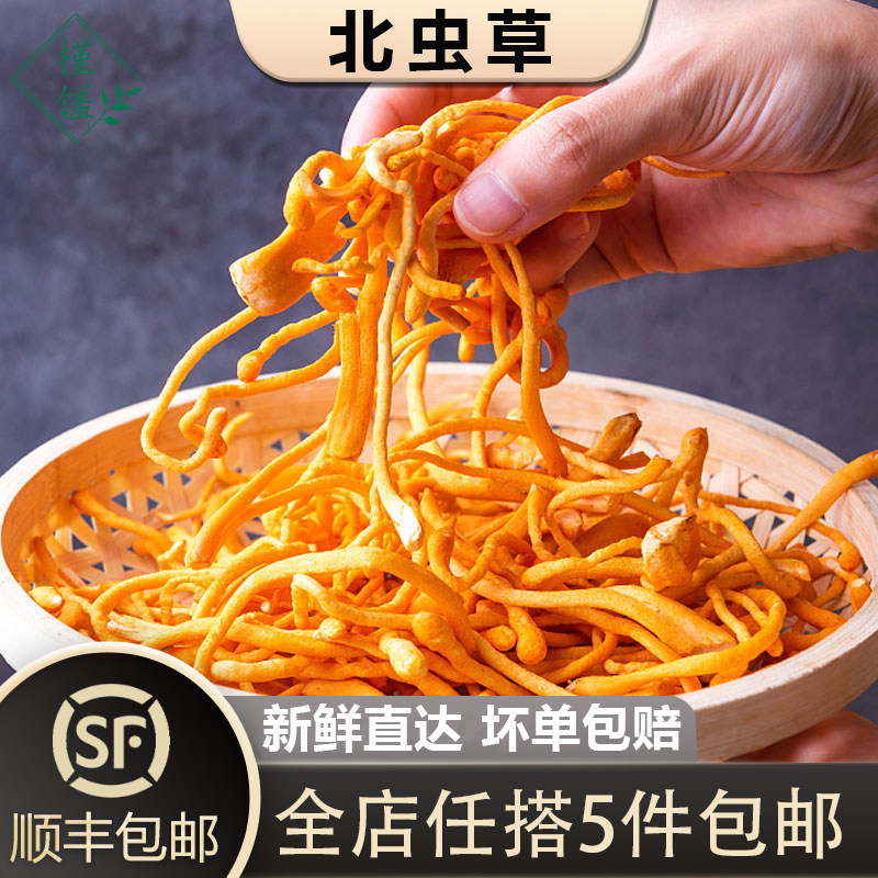 【槿馐】新鲜北虫草500g孢子头汤料煲汤料虫草花 5件顺丰包邮
