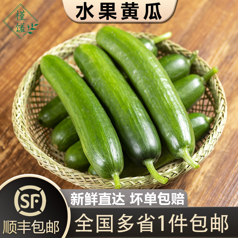 水果黄瓜1-5斤荷兰小黄瓜无刺短黄瓜新鲜蔬菜沙拉食材