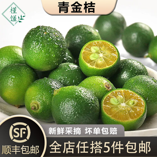 新鲜青金桔500g海南小青桔