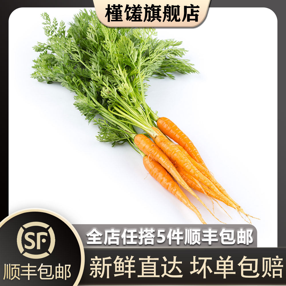 【槿馐】带叶迷你手指萝卜500g 新鲜胡萝卜宝宝辅食沙拉食材
