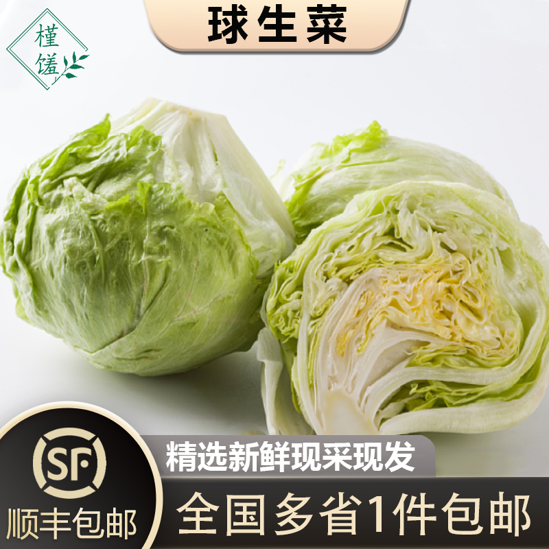 槿馐球生菜新鲜采摘顺丰包邮