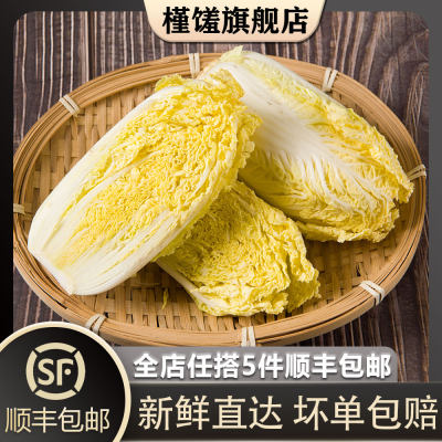 【槿馐】娃娃菜650g/包 新鲜蔬菜黄心小白菜火锅烧烤食材 5件包邮