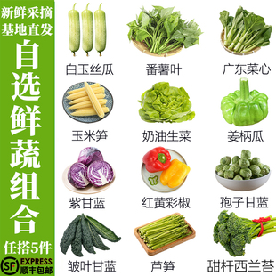 新鲜蔬菜自选组合精品时蔬农场基地直发现摘任选5件顺丰 包邮