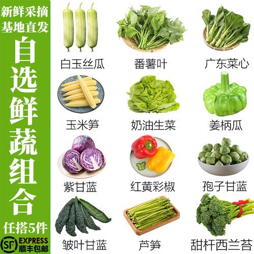 新鲜蔬菜自选组合精品