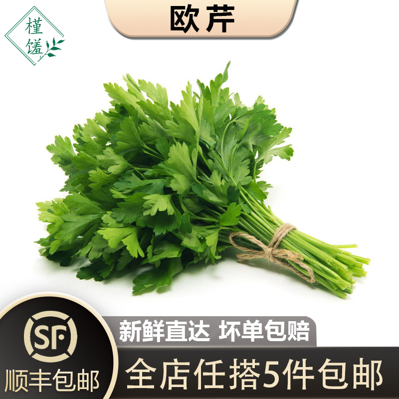 新鲜意大利芹250g香芹香菜
