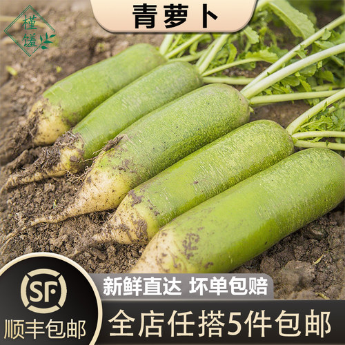 青萝卜1000g新鲜水果萝卜沙窝