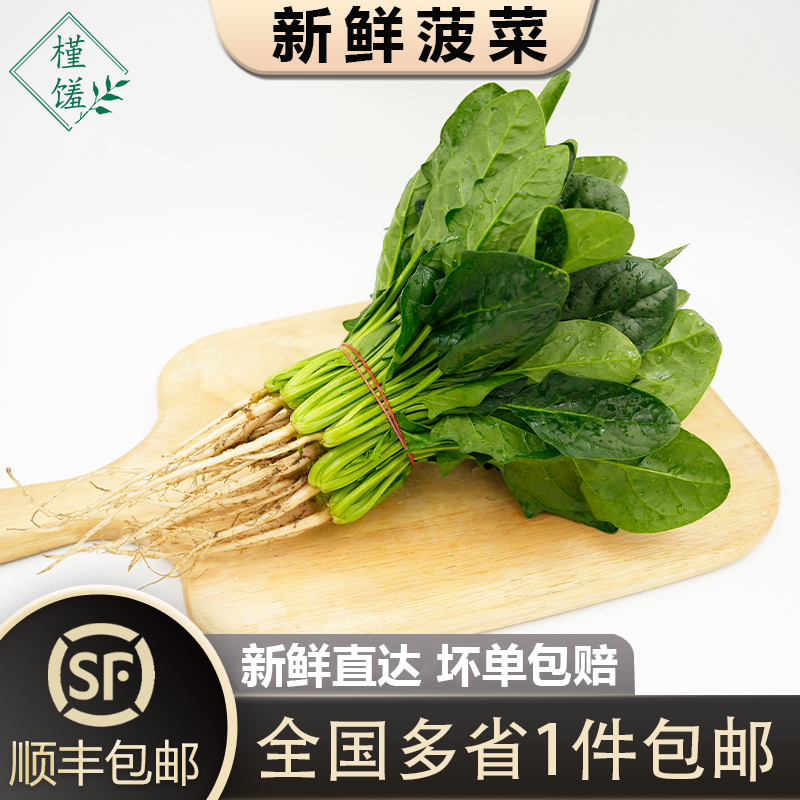 菠菜1-5斤 新鲜采摘时令农家蔬菜火锅食材大叶菠菜红根赤根波斯菜 - 封面