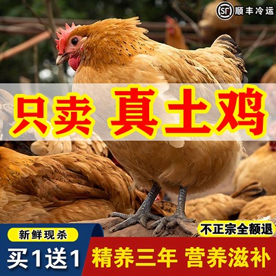 买一只送一只农家散养3年老母鸡