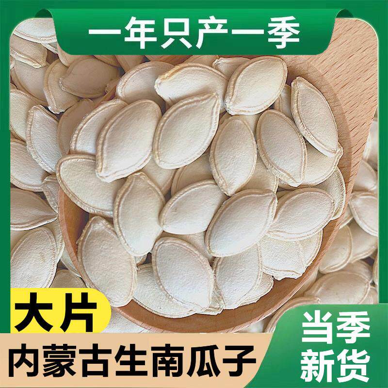 热销生南瓜子2025新货原味大片内蒙古精选带壳南瓜籽大颗粒