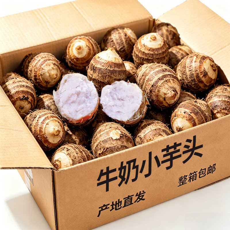 正宗牛奶小芋头新鲜现挖