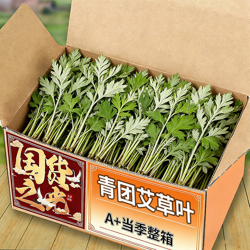 艾草新鲜现摘食用应当季生艾叶糍粑野生食用清明草青团艾叶草