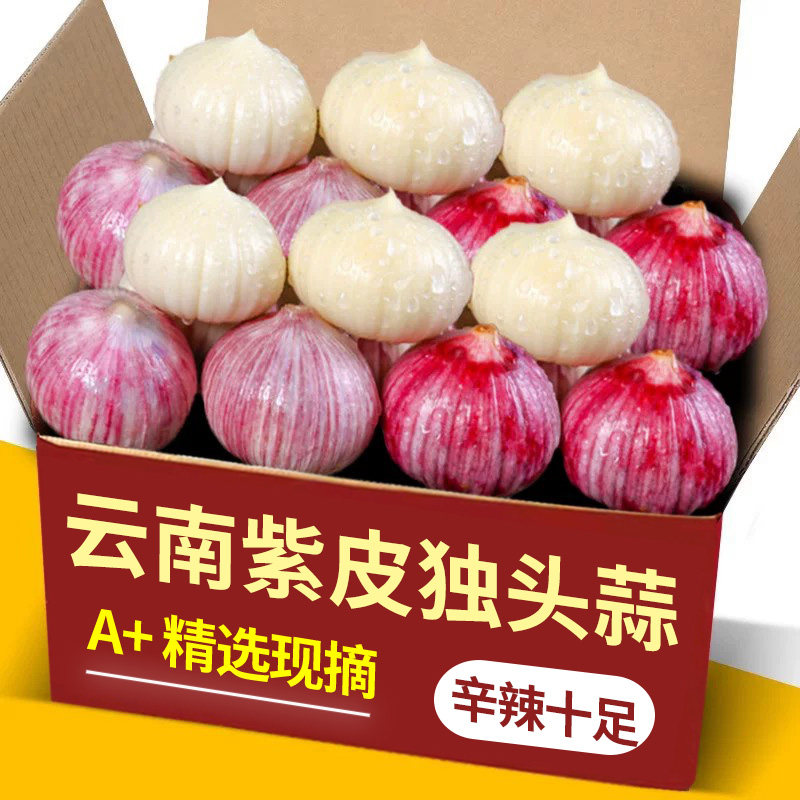 云南紫皮独头蒜力推5斤包邮