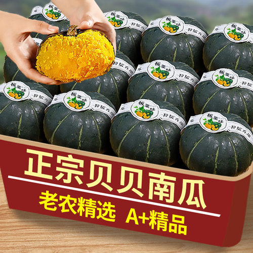 正宗贝贝南瓜香甜粉面