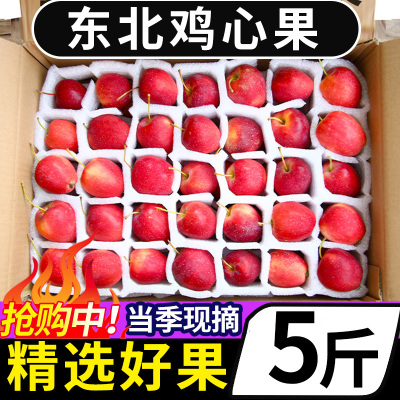 东北沙果海棠果5斤小苹果包邮