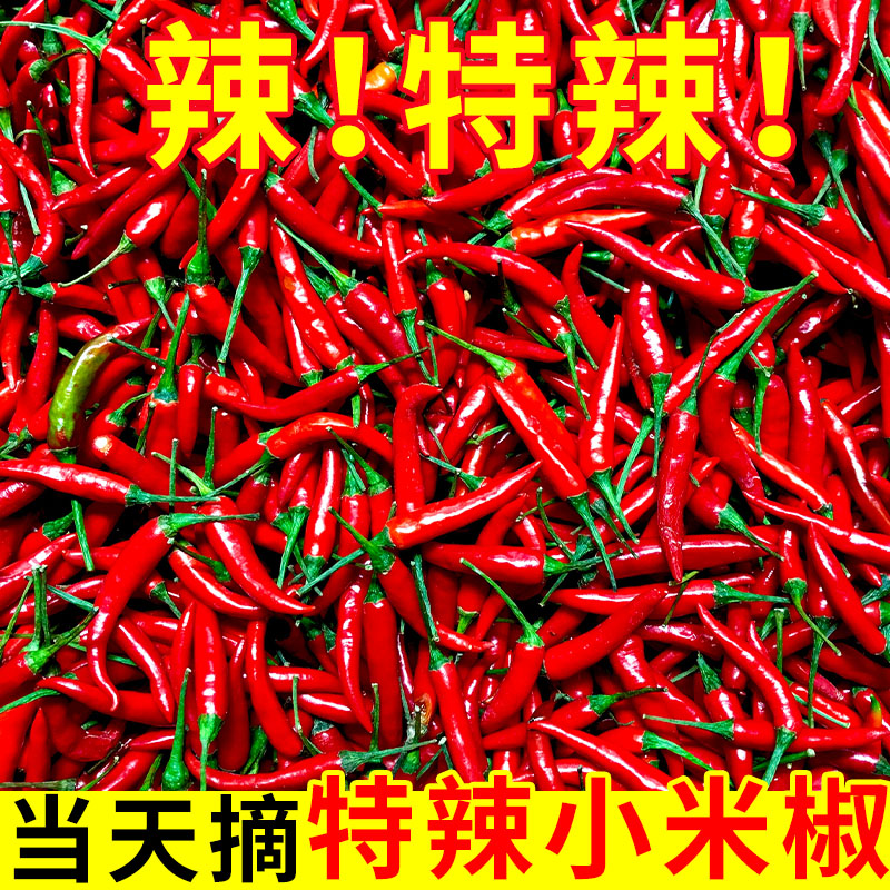 小米辣椒新鲜5斤特辣小米椒朝天椒超辣薄皮土红辣椒指天椒尖椒