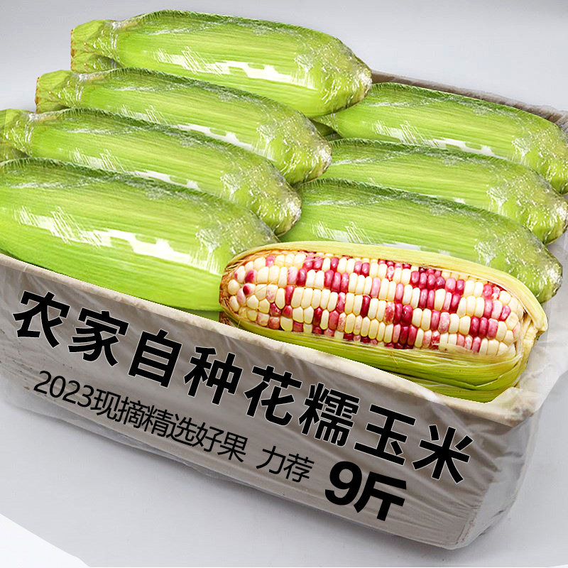 2�� ��ժ��Ŵ�����Ƽ�9�����