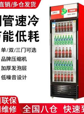 饮料柜冰柜冰箱咸单门超市饭鲜店啤酒柜双门保柜冷藏展示柜鱼二手