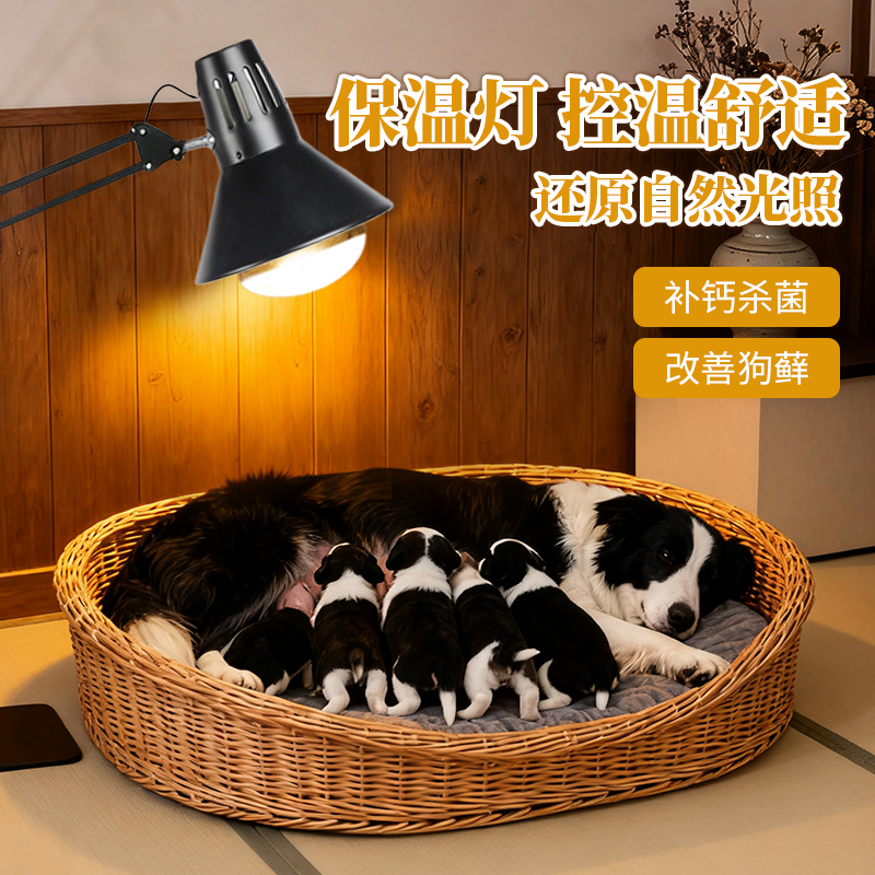 狗狗取暖灯专用暖灯幼宠物月子