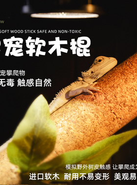睫角守宫攀爬软木棍盖勾亚R巨人蜥蜴宠物木棒爬宠树栖蛇树蛙茶棍