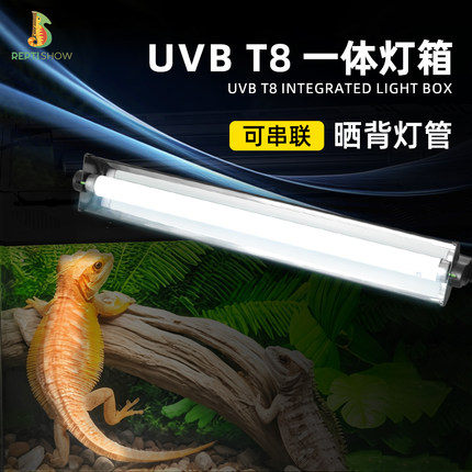 爬宠UVB灯管一体T8灯箱玻璃缸陆龟鬃狮黄缘蜥蜴爬虫补钙灯可串联