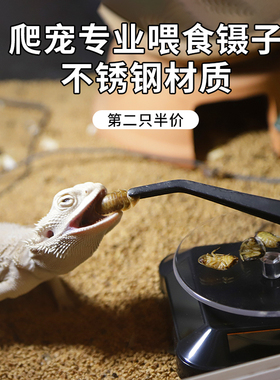 乌龟爬宠守宫角蛙龙鱼喂食镊子宠物硅胶喂食夹子加长不锈钢喂食器