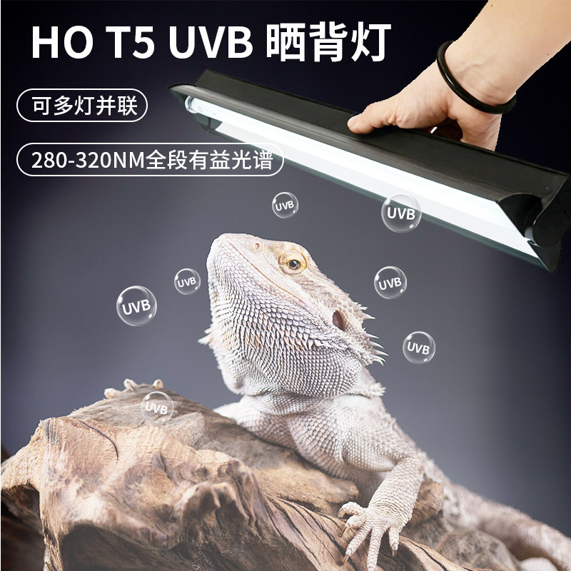 T5uvb灯管专用爬宠乌龟晒背灯全光谱灯宠物太阳灯照明灯蜥蜴灯架