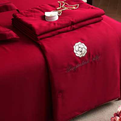 80支兰精天丝夏凉被四件套可机洗冰丝滑裸睡空调被结婚庆床上用品