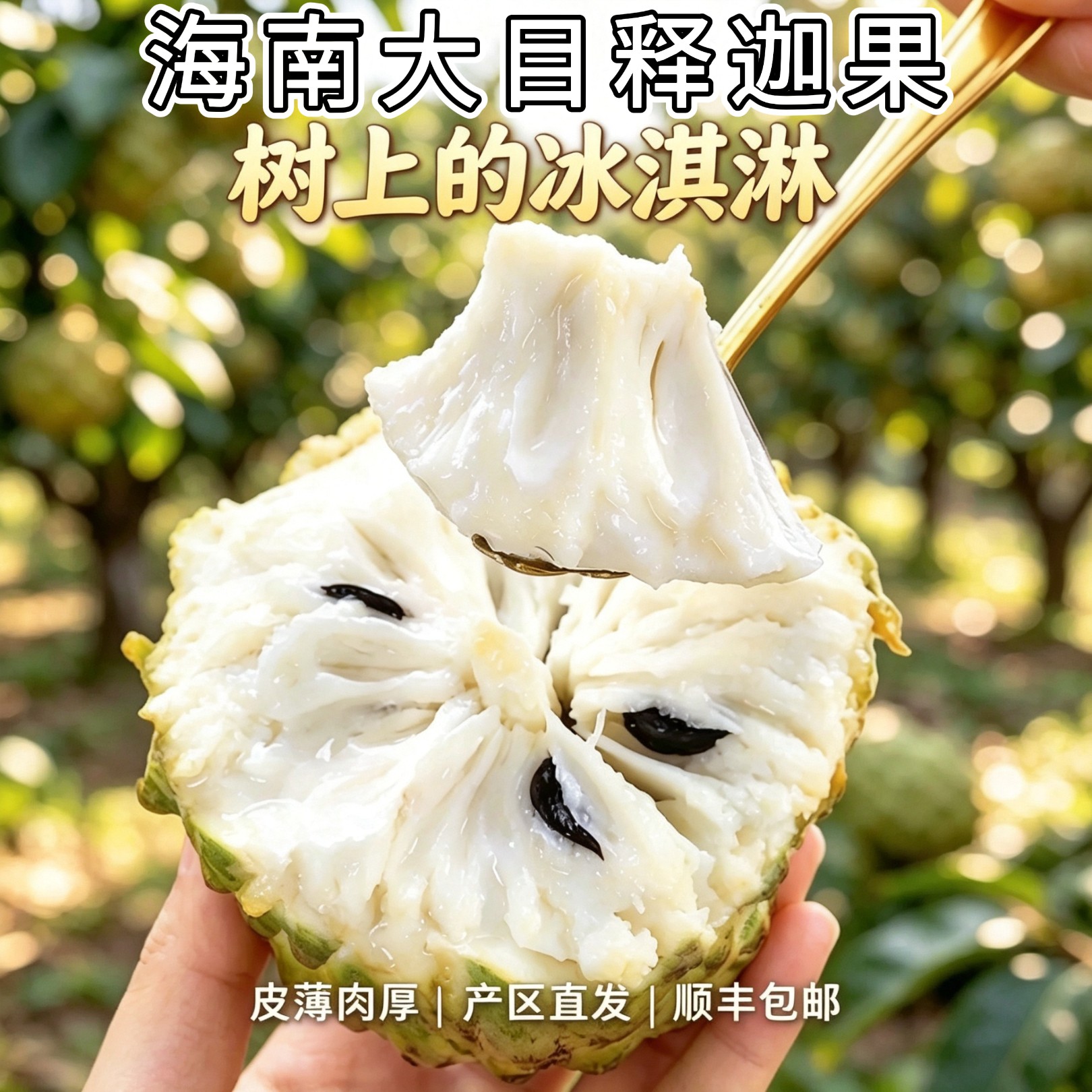 顺丰包邮 现摘海南大目释迦果当番荔枝/释迦