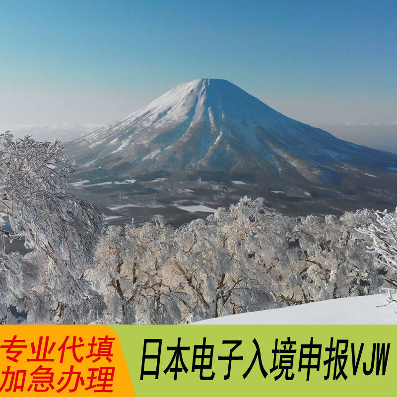 日本快速入境 ，专业代填，安心出行