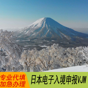 日本电子入境申报 入境卡 海关申报单VJW代填代做QR码