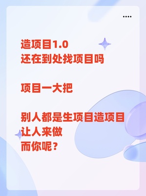 造项目1.0商业操盘手生意操盘手互联网创业项目副业项目怎么赚钱