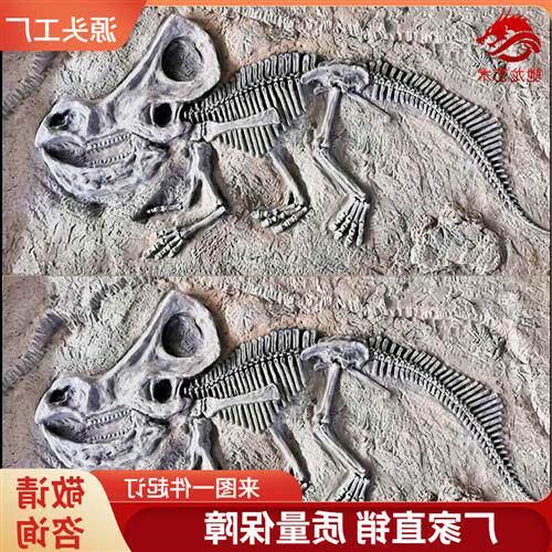 原角翼龙肿头龙迅猛龙化石块儿童沙坑考古发掘仿真恐龙玻璃钢化石