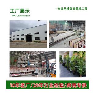 仿真植物盆栽大型商场橱窗落地摆件室内散尾葵旅人蕉造景仿真绿植